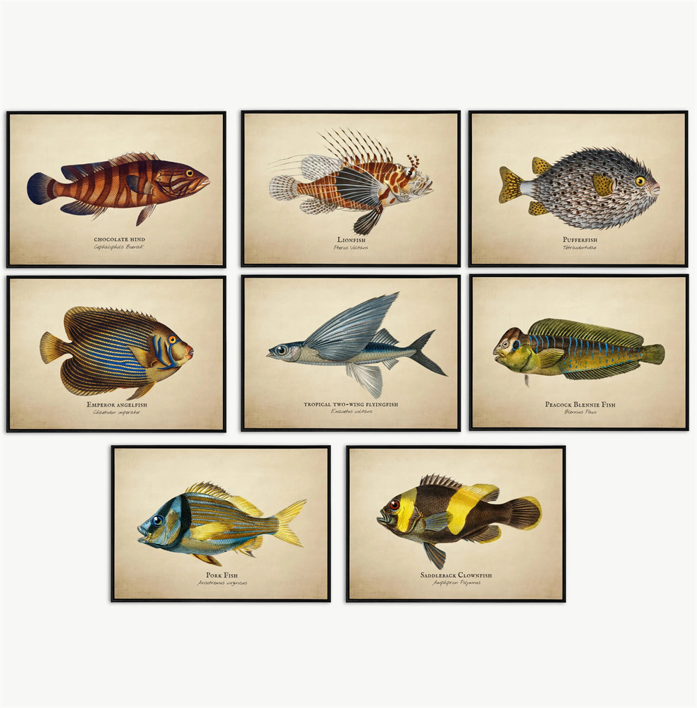 Marine Aquarium Home - Vintage Pictures Tropical Fish Jellyfish Shells