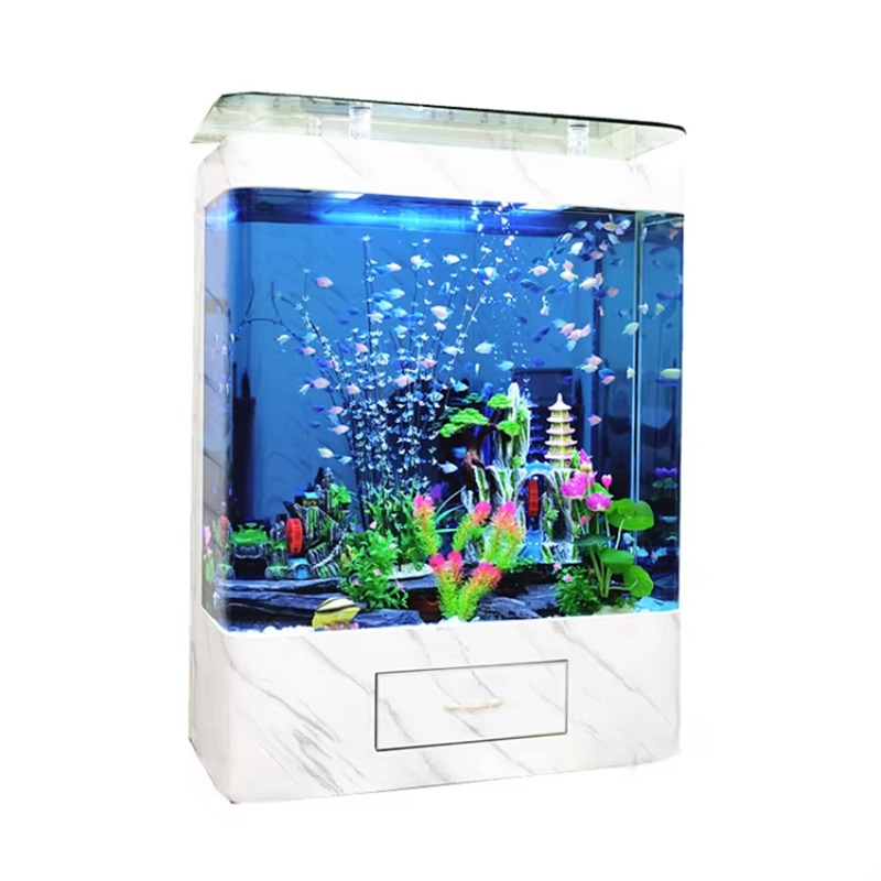 Marine 200 Gallon Glass Fish A - Marine Aquarium Design ulasan dan harga
