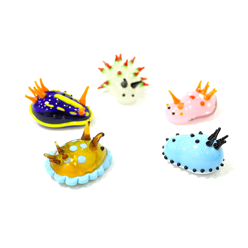 Rare Cute Mini Marine Molluscs - Marine Aquarium Japan ulasan dan harga