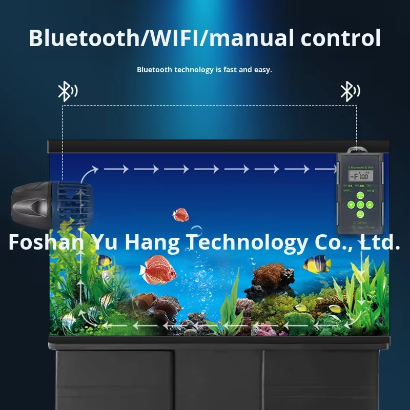 Factory direct sales supply aq - Marine Aquarium Tank For Sale ulasan dan harga