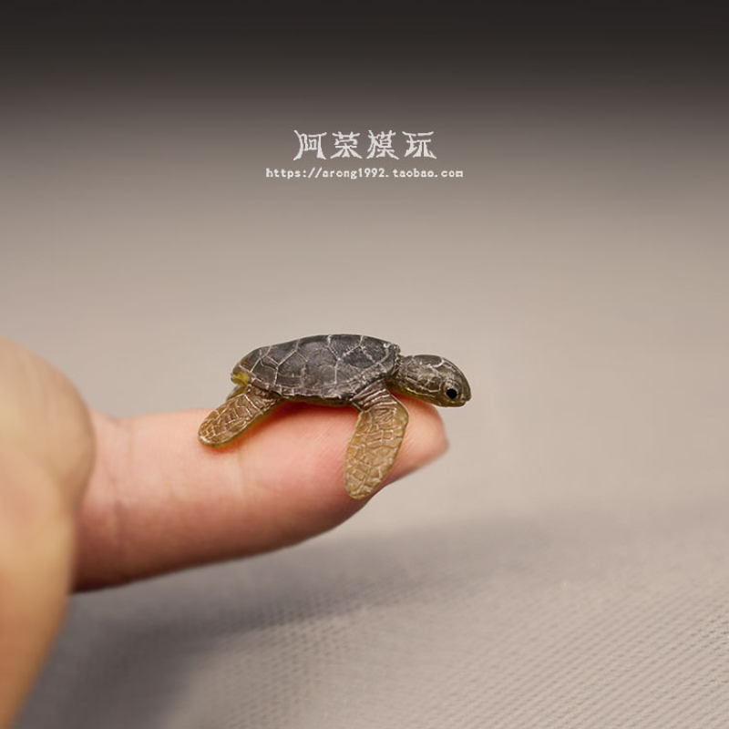 Marine Life Sea Turtle Model O - Marine Aquarium Japan ulasan dan harga