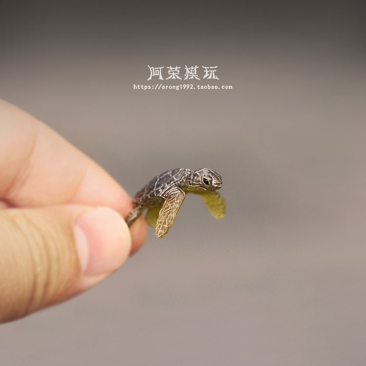 Marine Life Sea Turtle Model O - Marine Aquarium Japan ulasan dan harga