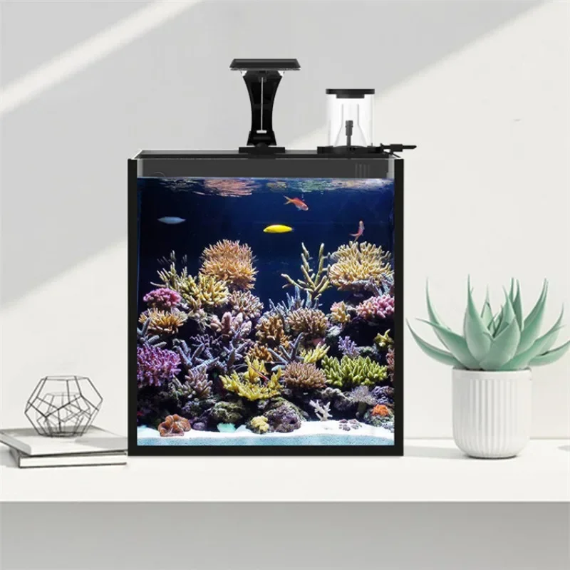 Hot sales Ultra Clear Glass Mi - Marine Aquarium Tank For Sale ulasan dan harga