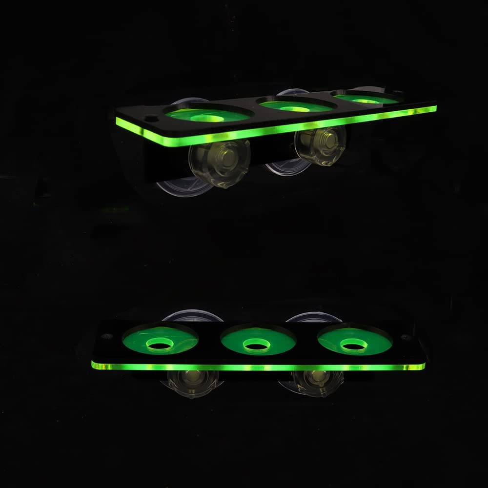 Fluorescent Coral Frag Plug Br - Marine Aquarium Design ulasan dan harga