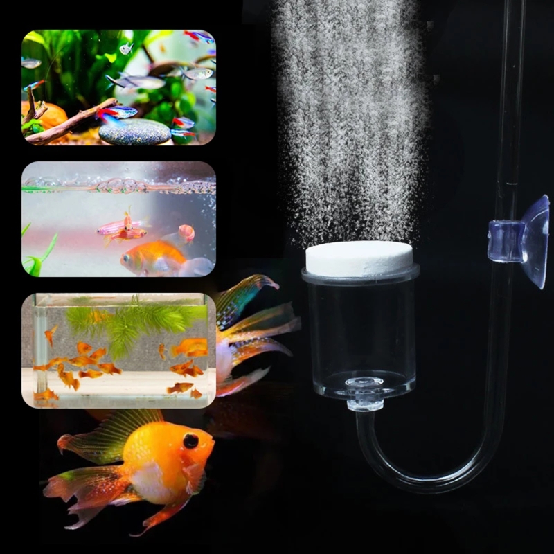 4pcs Set DIY CO2 Diffuser For  - Marine Aquarium Kit ulasan dan harga