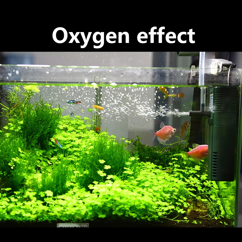 SUNSUN mini nano 111B 311B 611 - Marine Aquarium Design ulasan dan harga